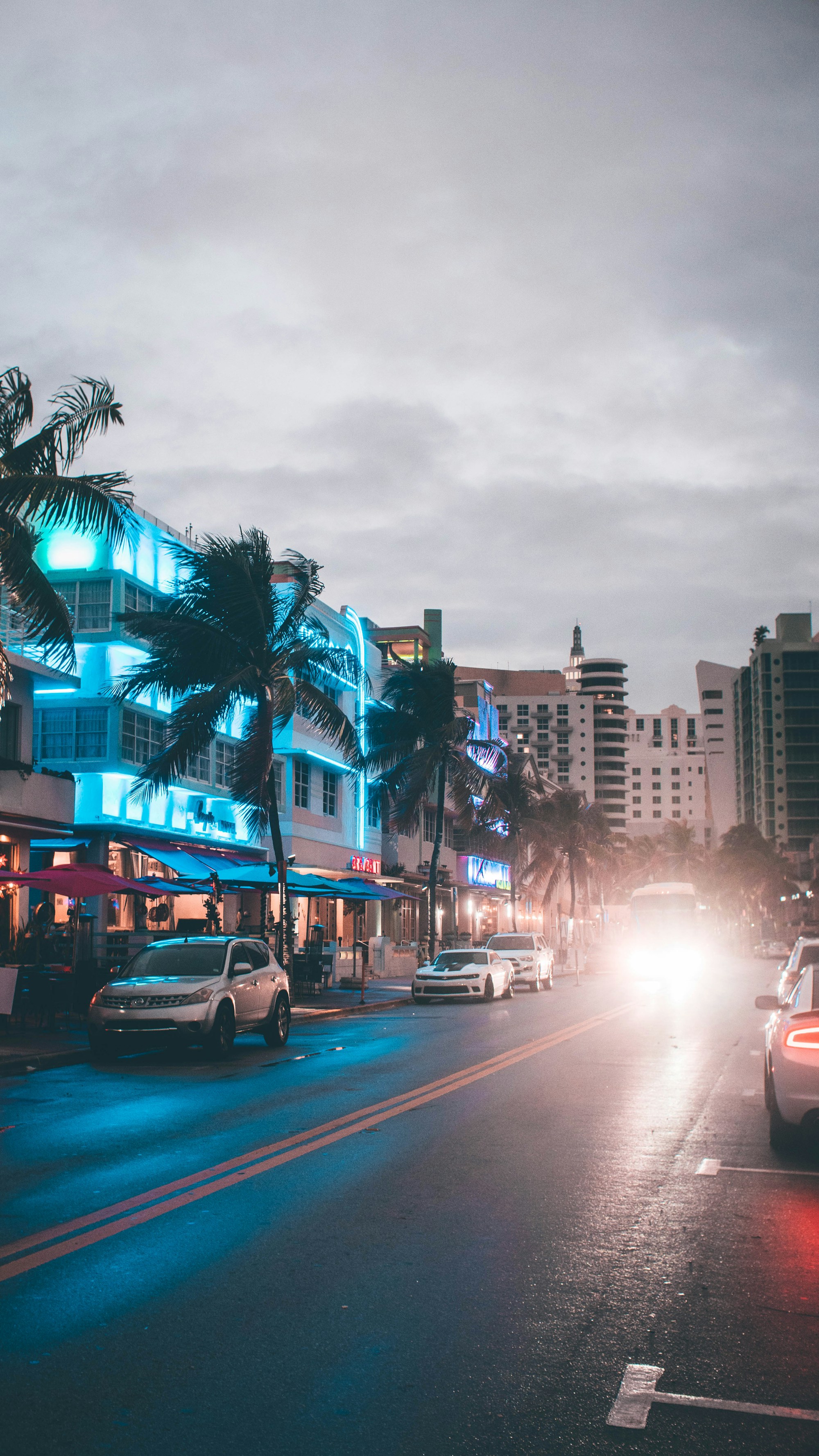 Palm-lined street in Miami Beach